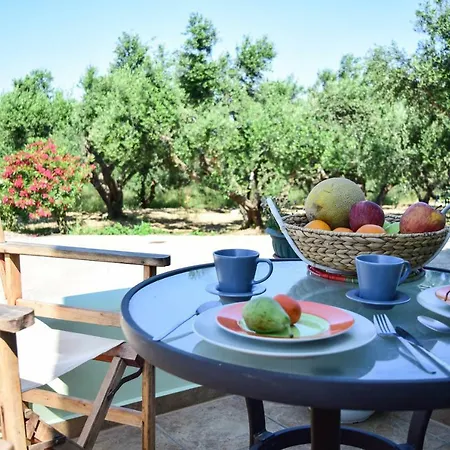 Magea- Asterias Ground Floor Peaceful Apartment Tavronitis (Crete)