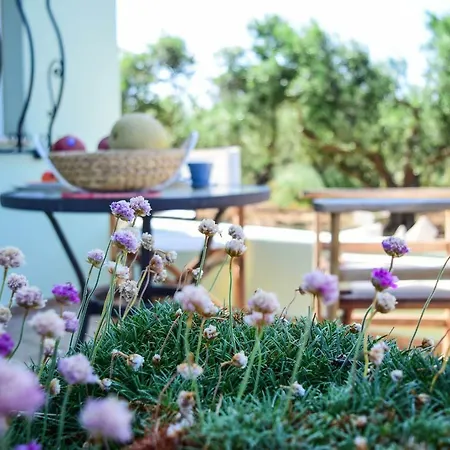 Magea- Asterias Ground Floor Peaceful